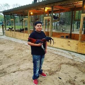 Meet your Posher, Roberto